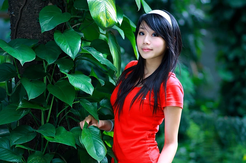 17608364.webp