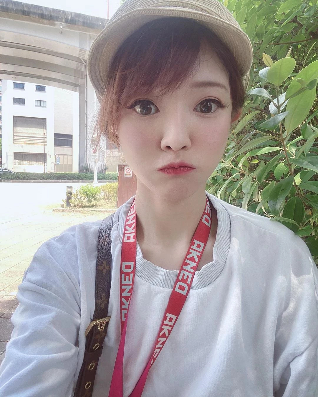 3871245.webp