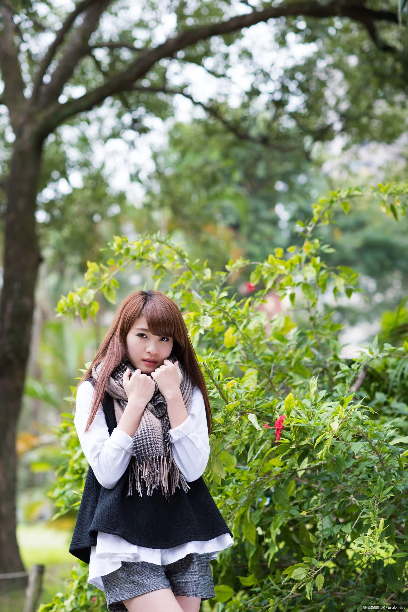 17087023.webp