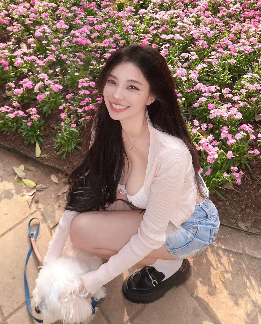 25042077.webp