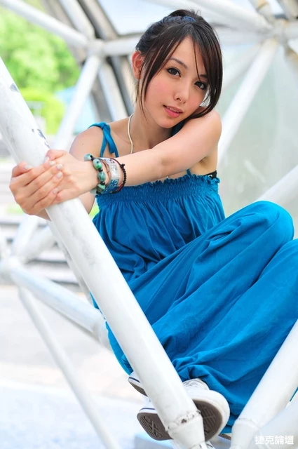 17653167.webp