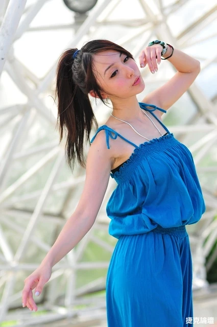 17653170.webp