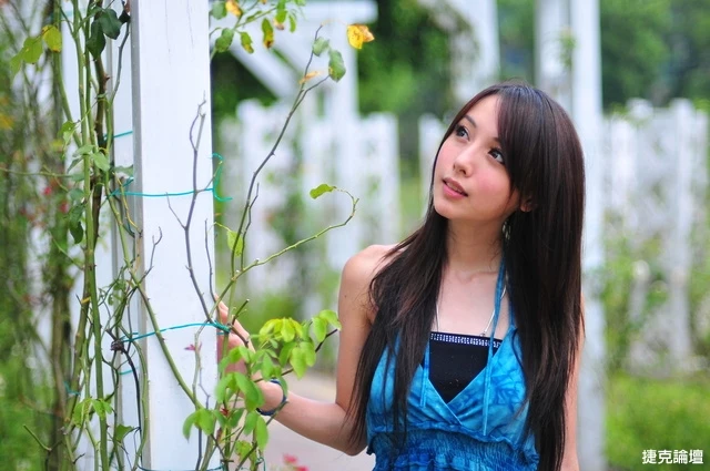 17653181.webp