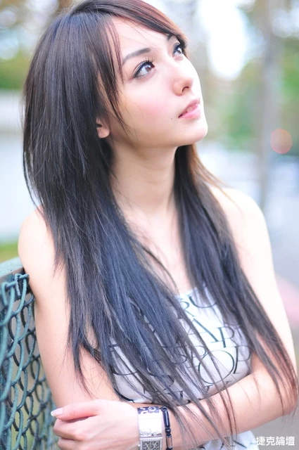 17653045.webp