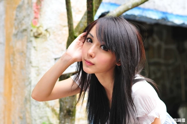 17653063.webp
