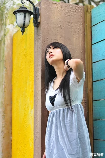 17653066.webp