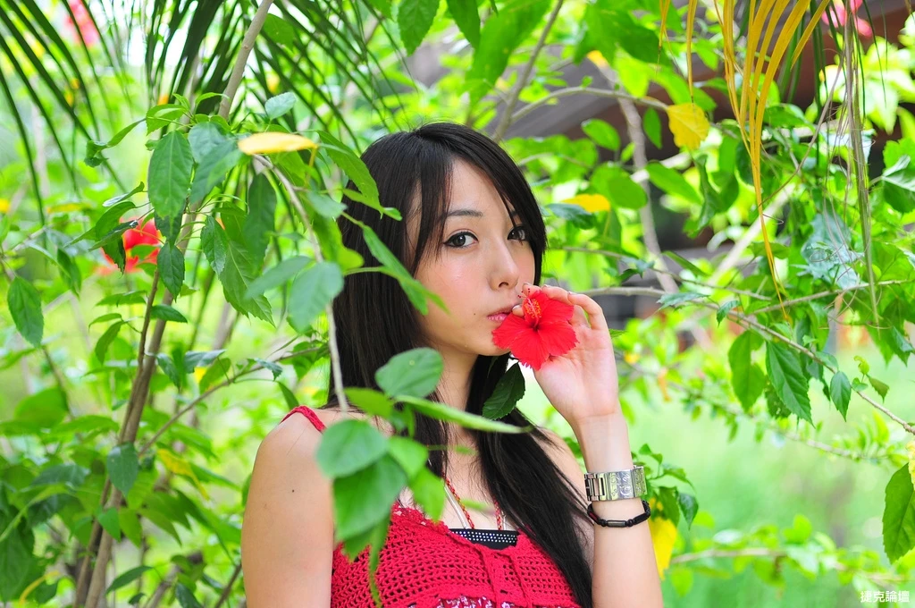 17653114.webp