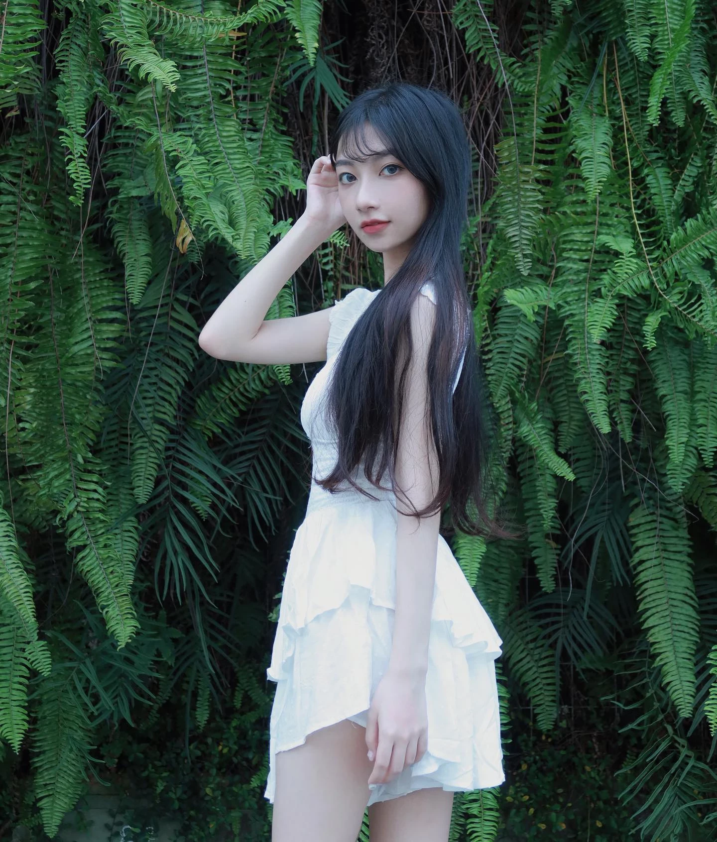 31091480.webp