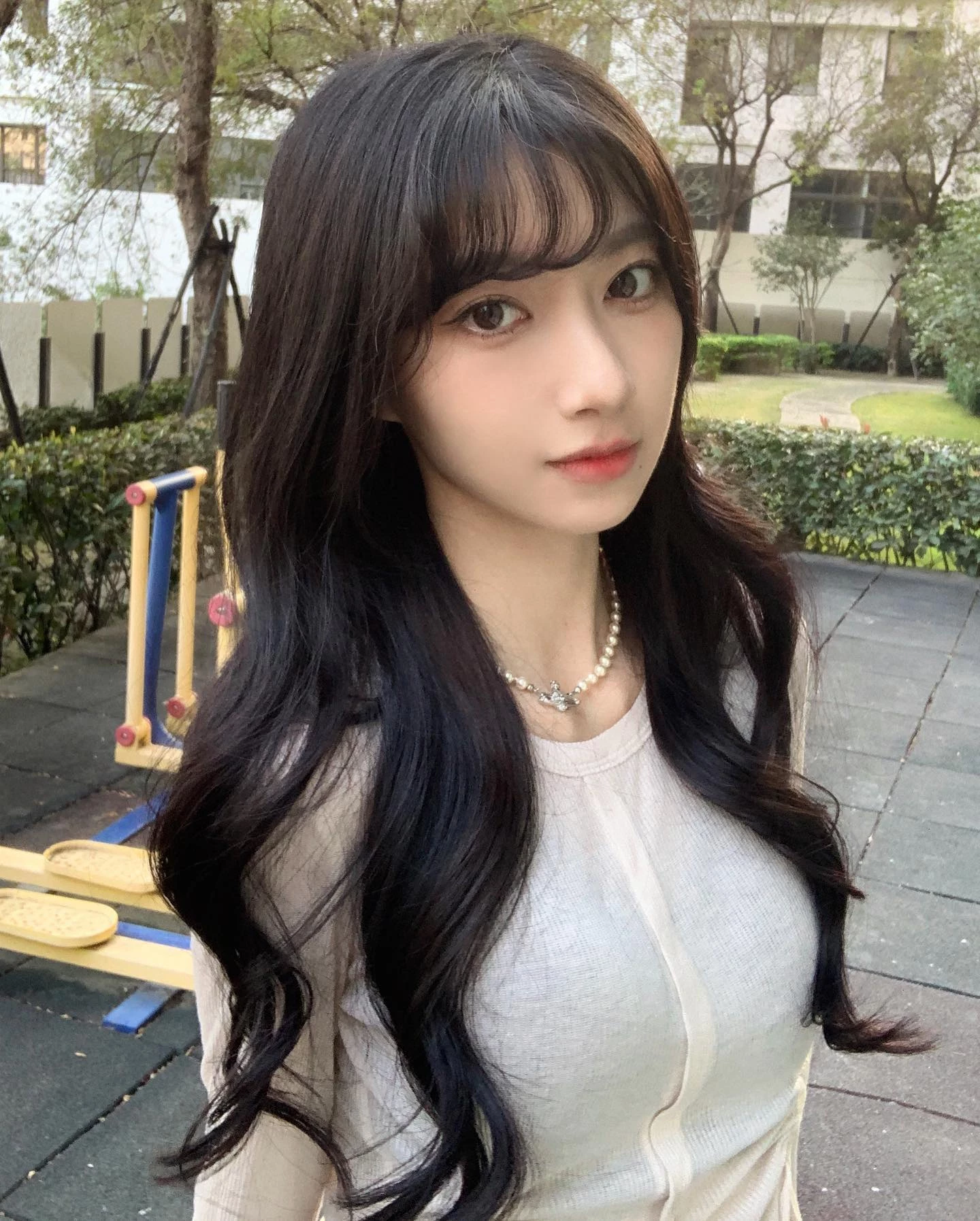 31091482.webp