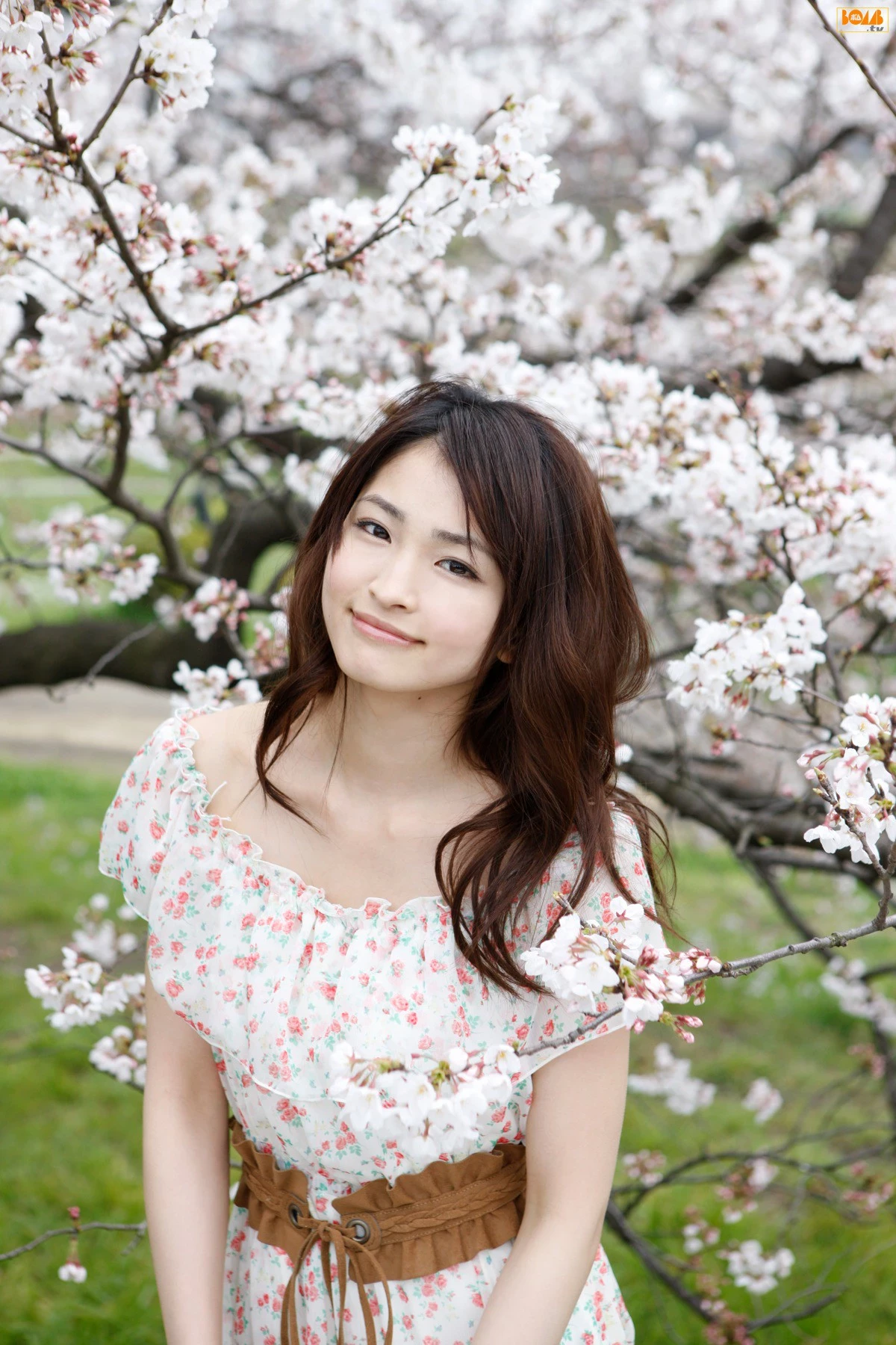 30602033.webp