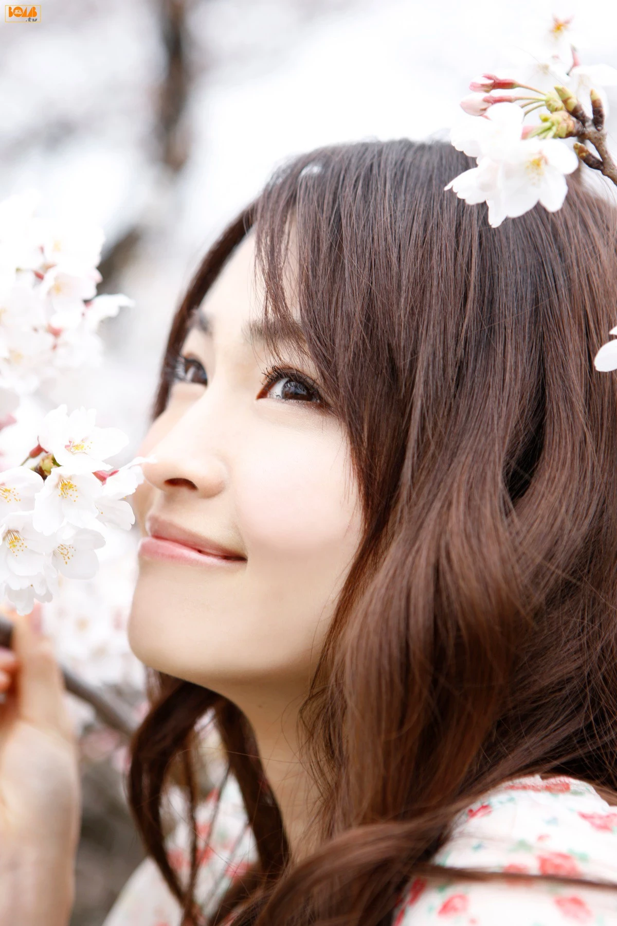 30602034.webp