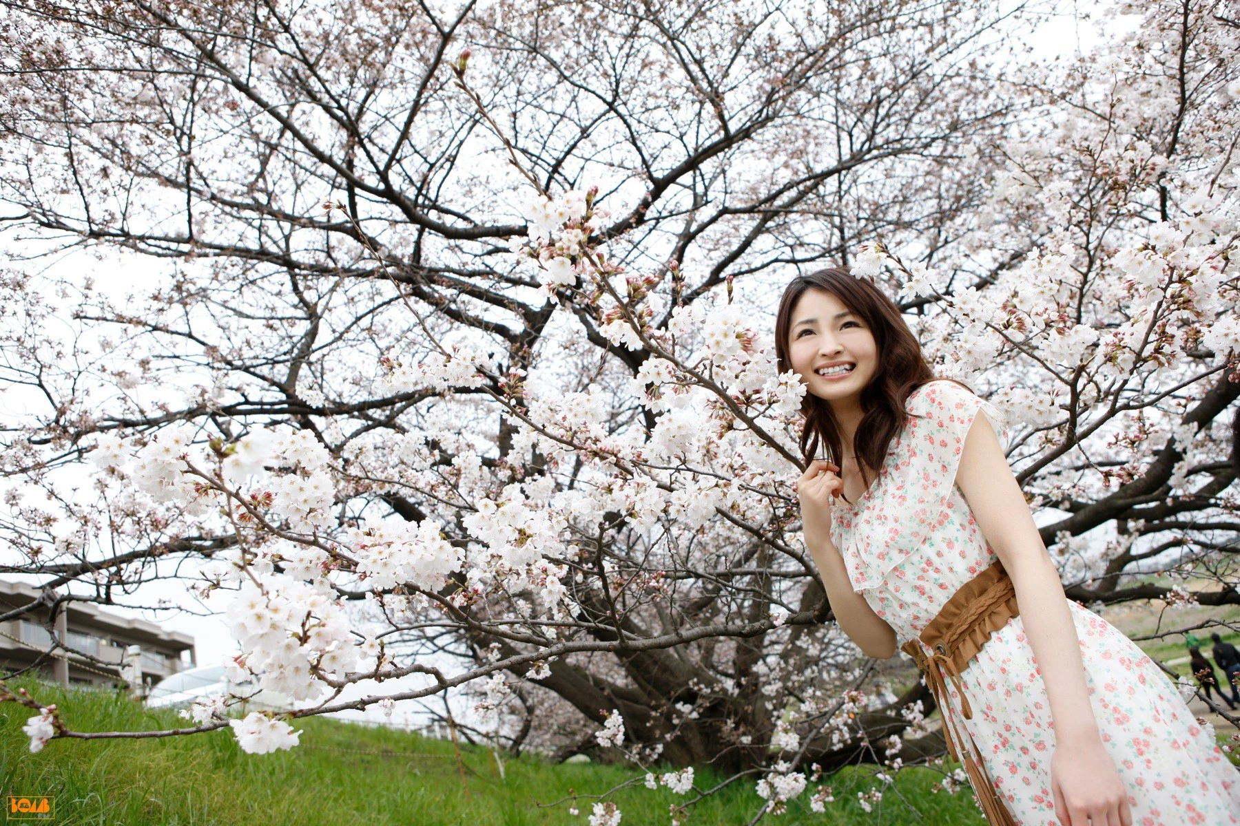30602035.webp