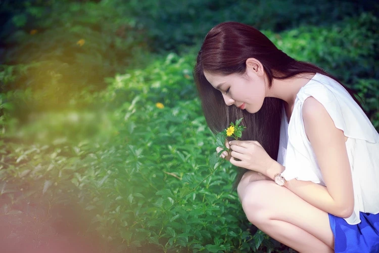 17166026.webp