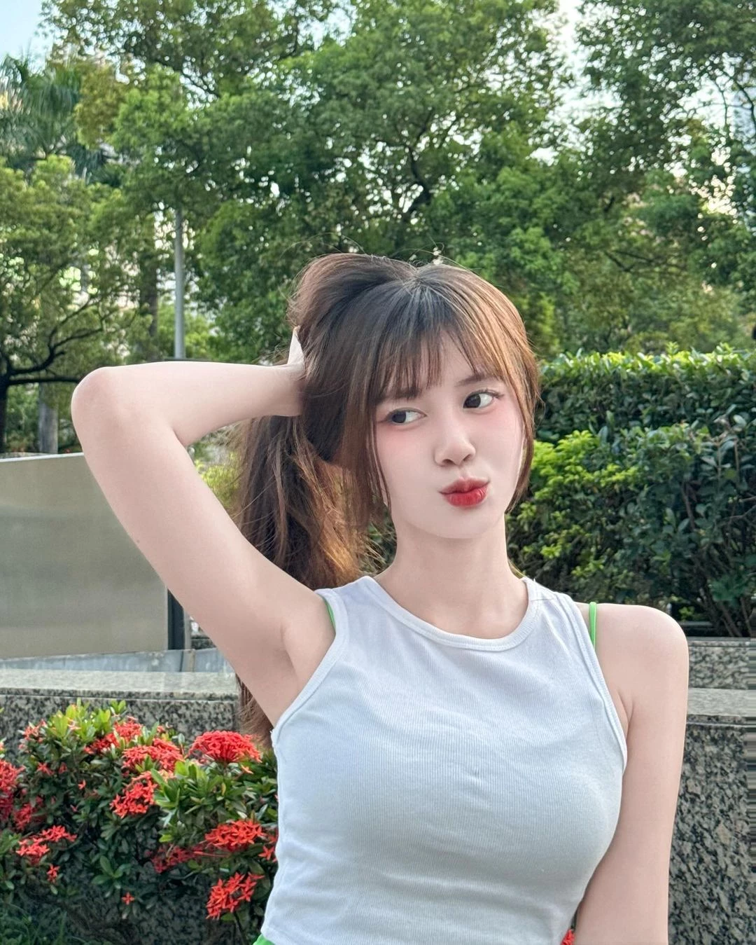 31231322.webp