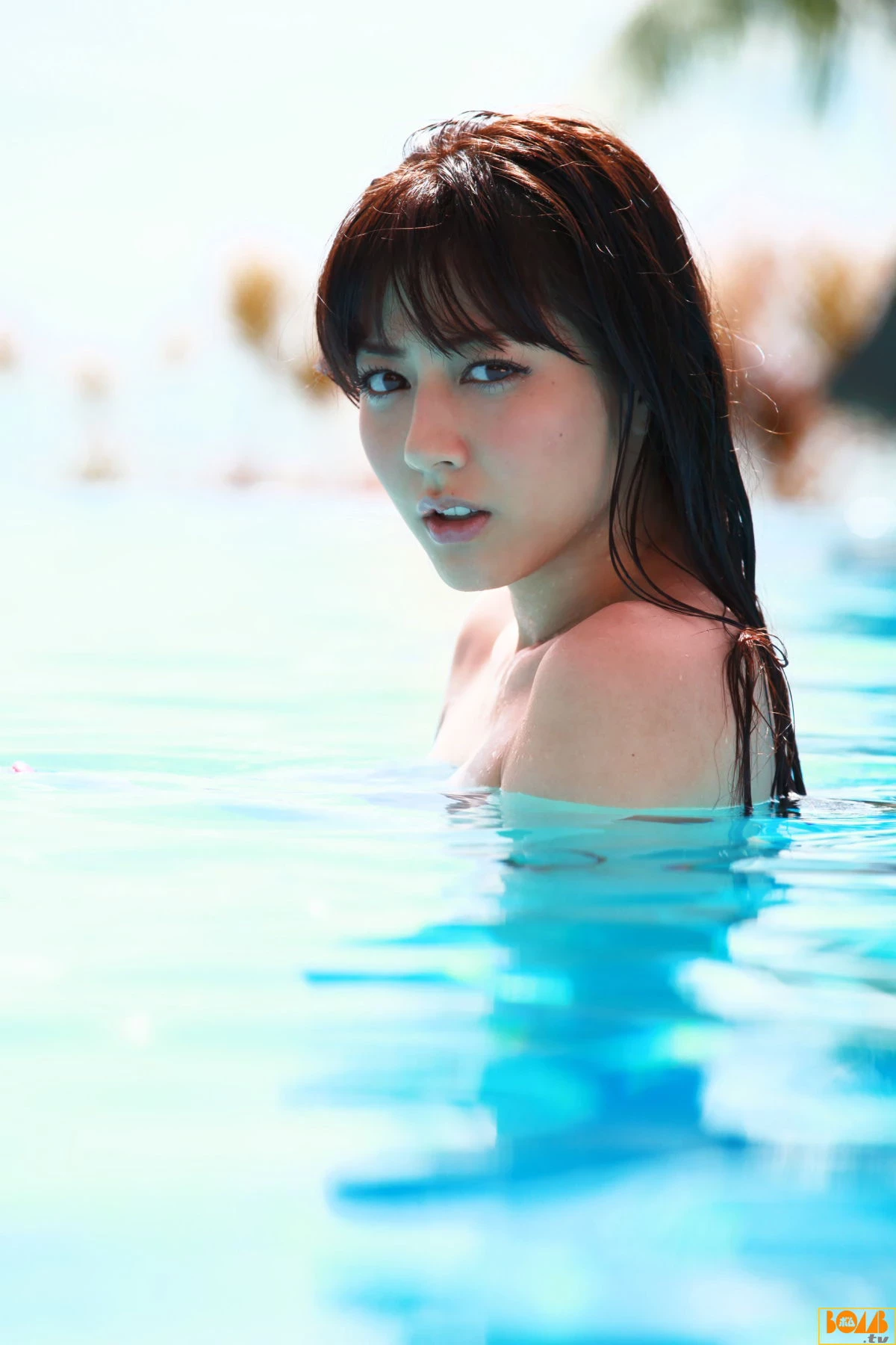 30637005.webp