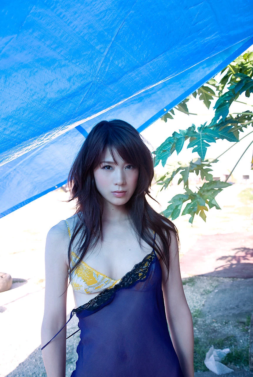 30581304.webp