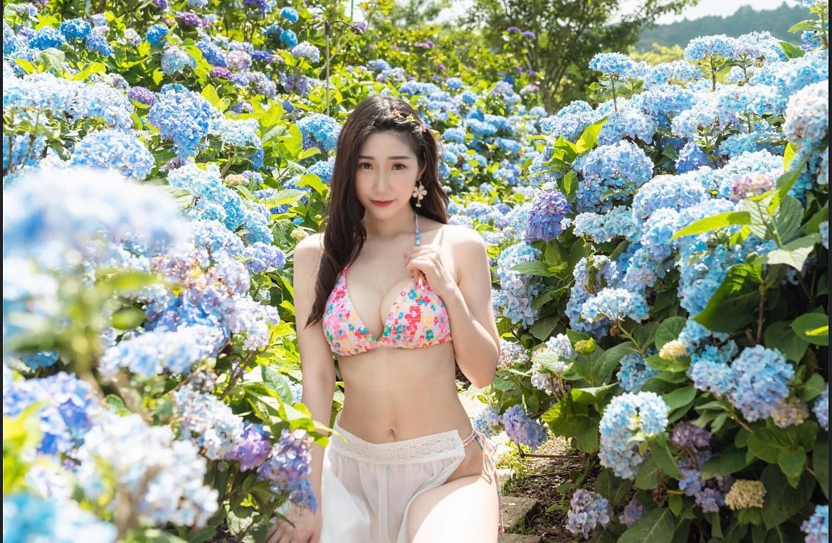 31701894.webp