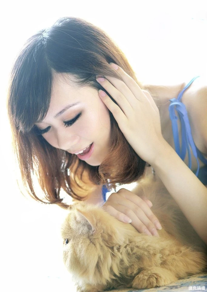 17526796.webp
