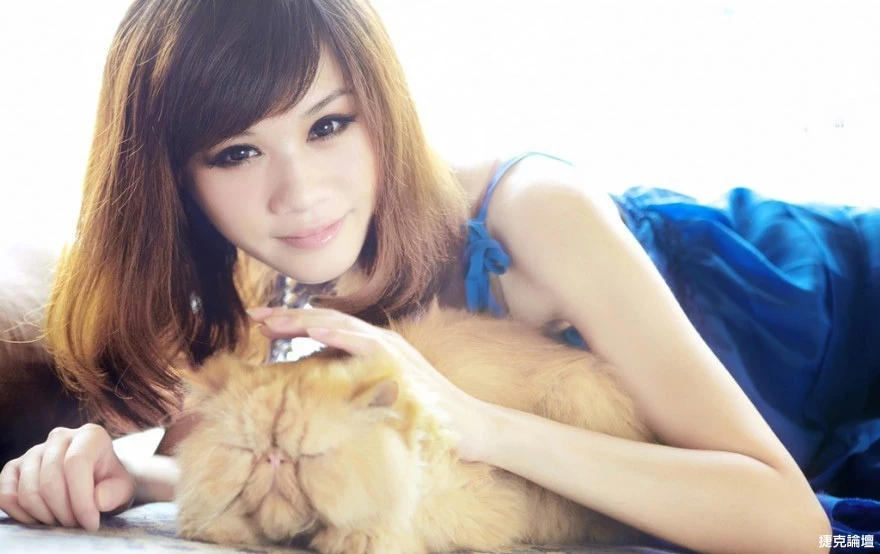 17526792.webp