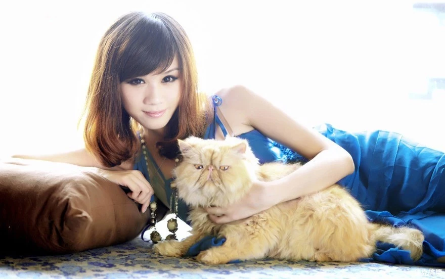 17526797.webp