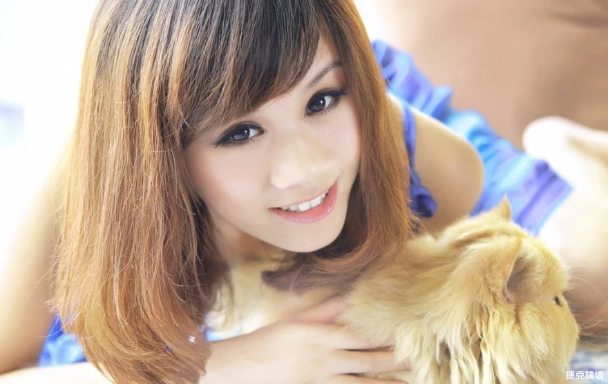 17526798.webp