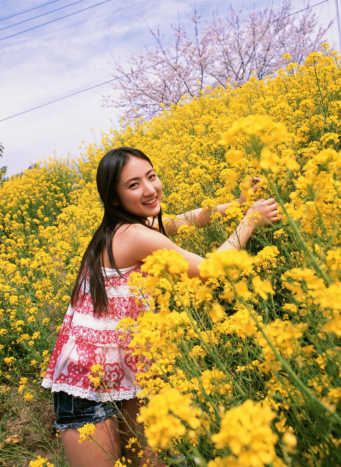 30601322.webp