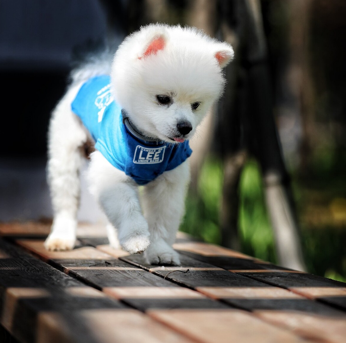d44b5f2d-251b-46e2-84d4-c92b02912f4d.png