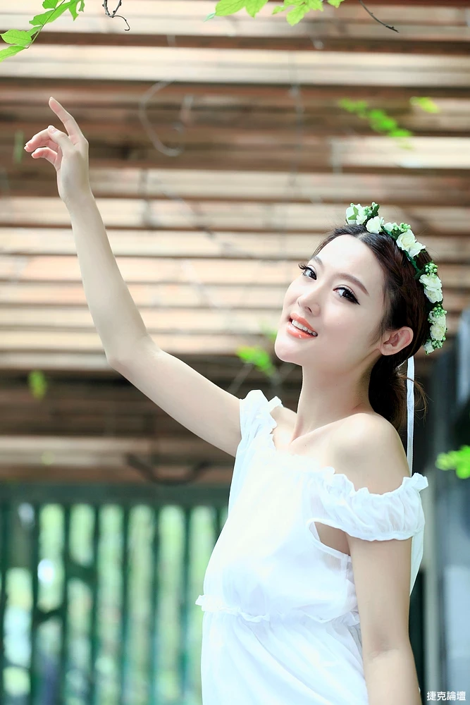 17411719.webp
