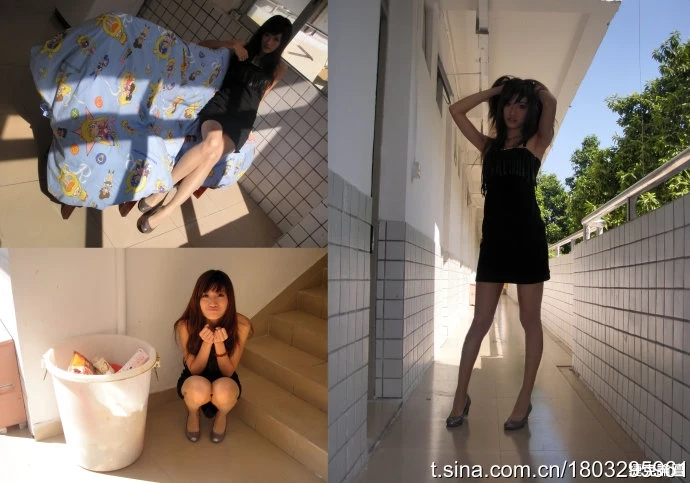 17371898.webp