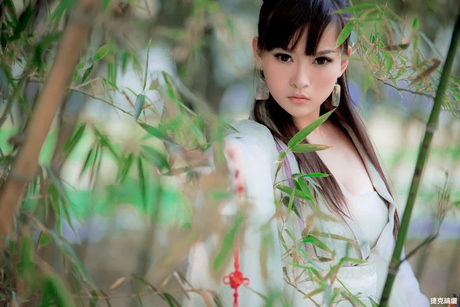 17545736.webp