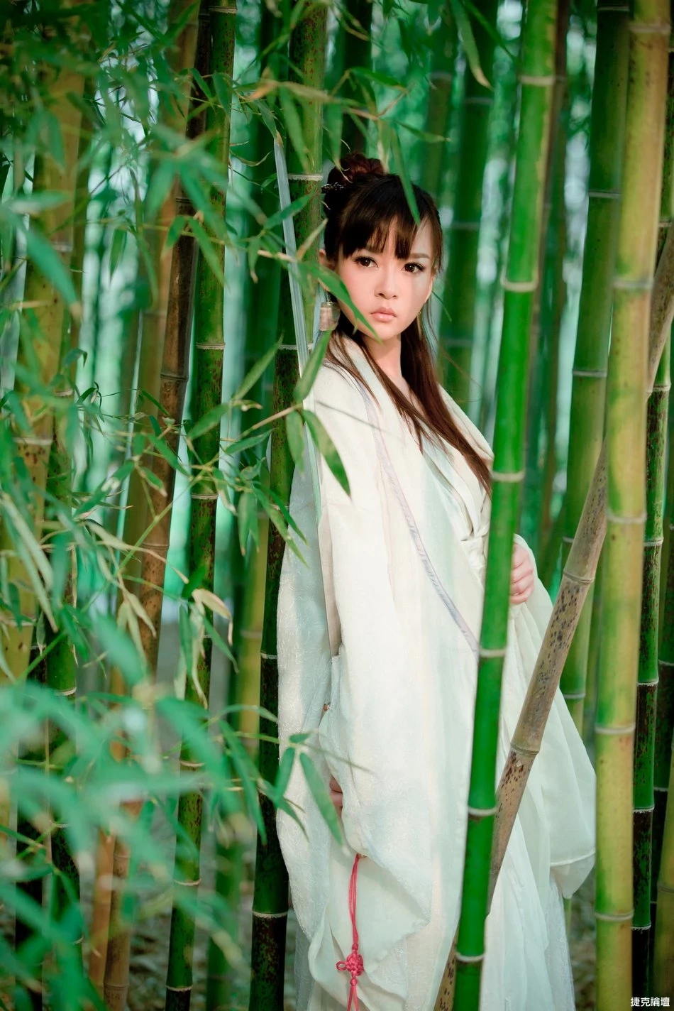 17545738.webp
