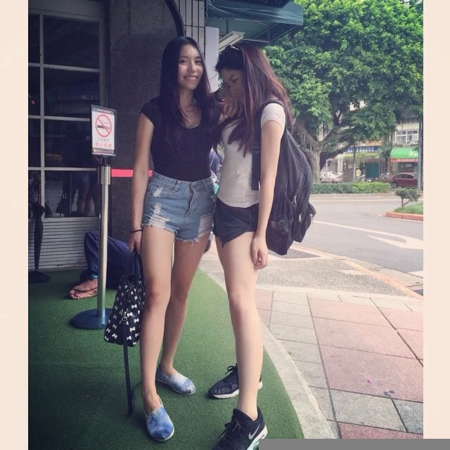 16908041.webp