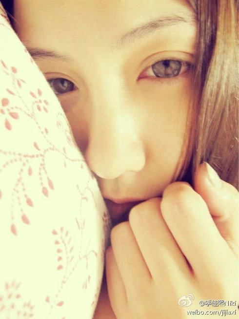 17299303.webp