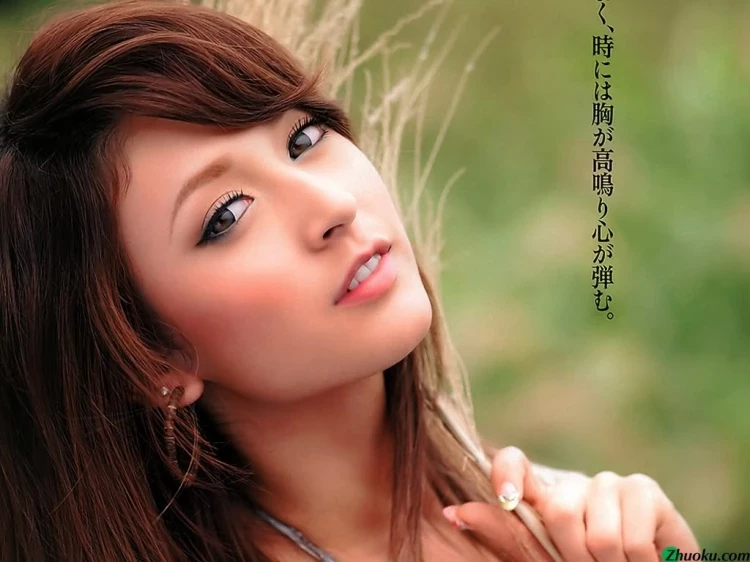17196269.webp