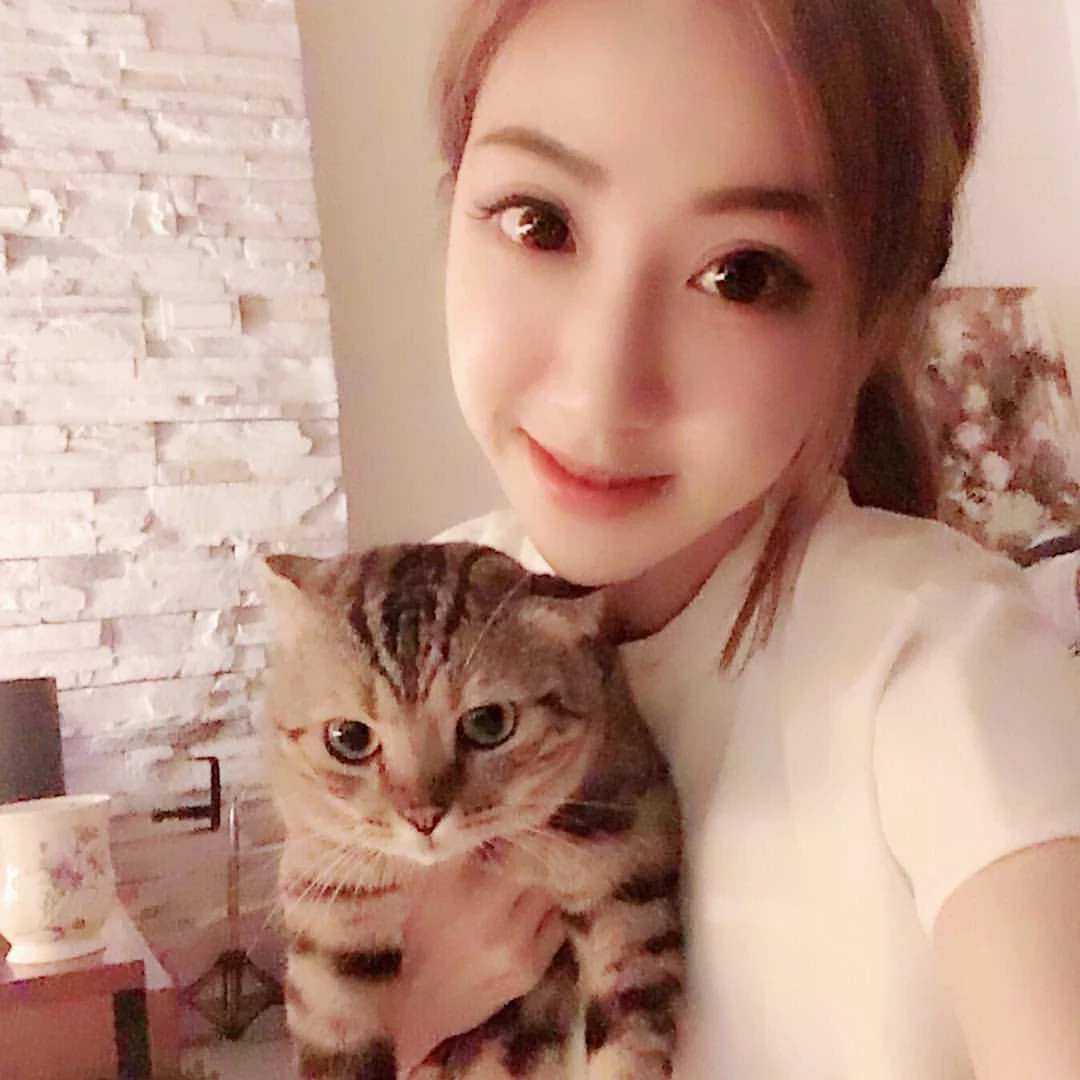 4213272.webp