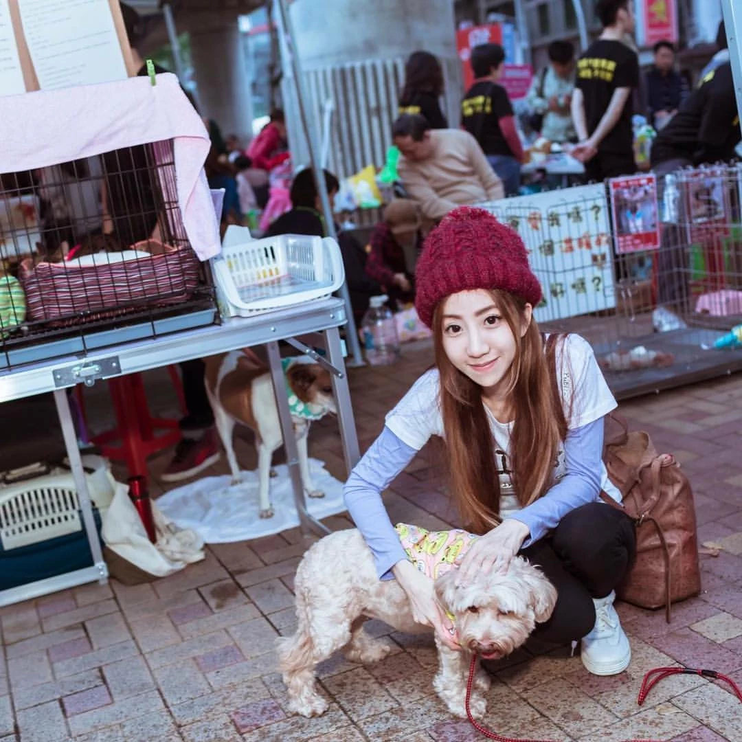 4213279.webp
