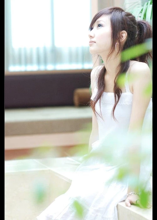 17377112.webp