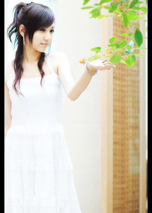 17377114.webp