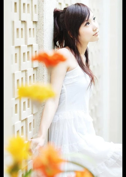 17377116.webp