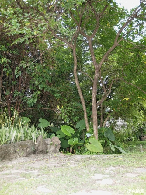 17268946.webp