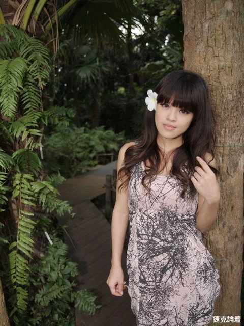 17268950.webp