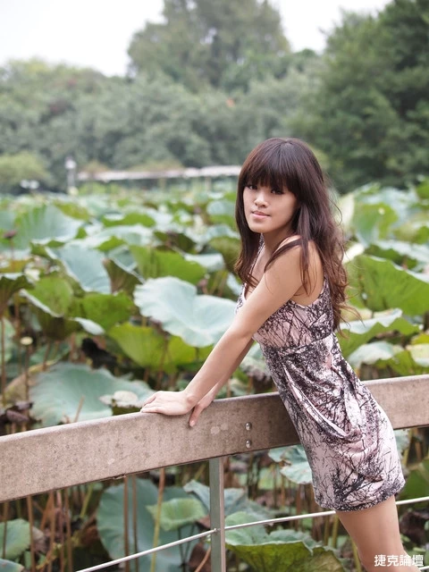 17268965.webp