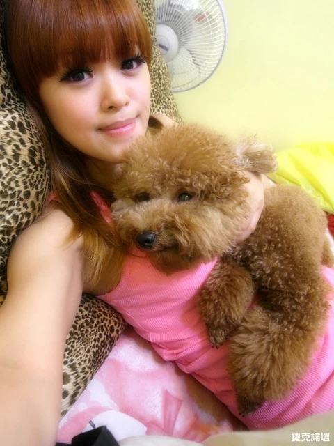 17269004.webp