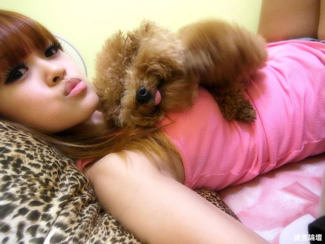 17269005.webp