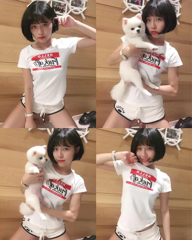 16801381.webp
