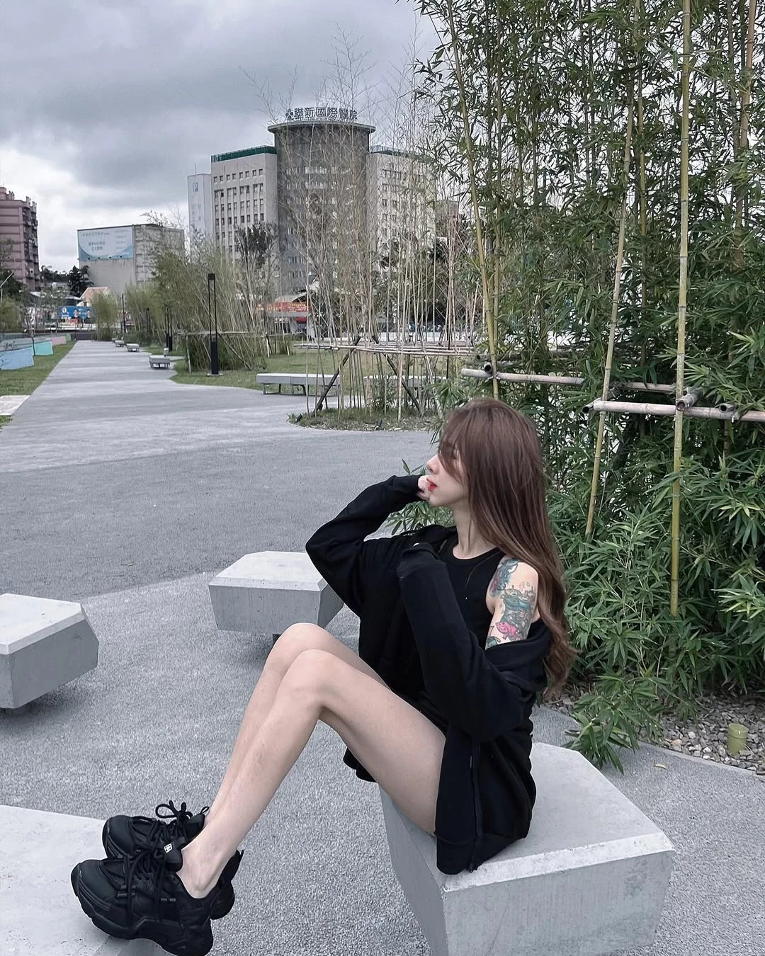 31675223.webp