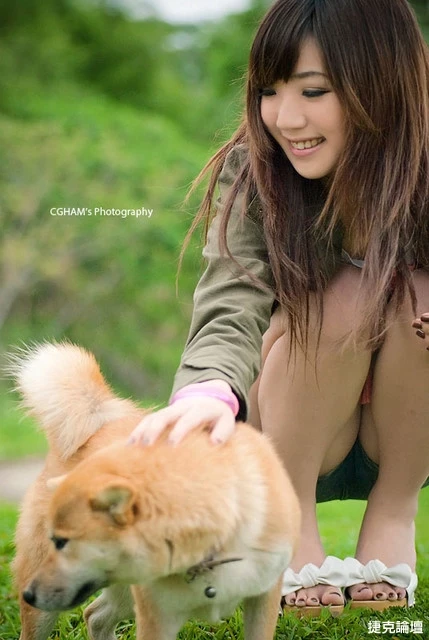 17530184.webp