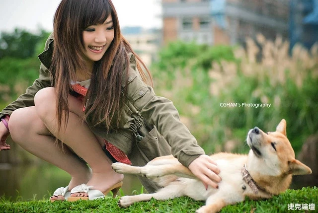 17530195.webp