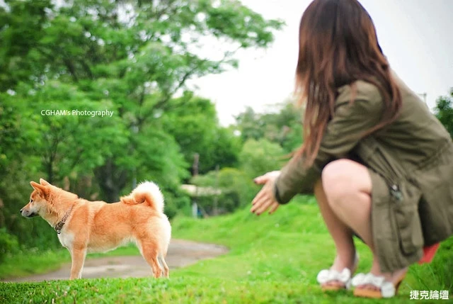 17530197.webp