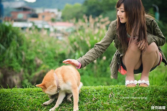 17530203.webp